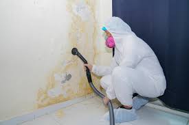 Best Emergency Mold Remediation  in Richnd, MO